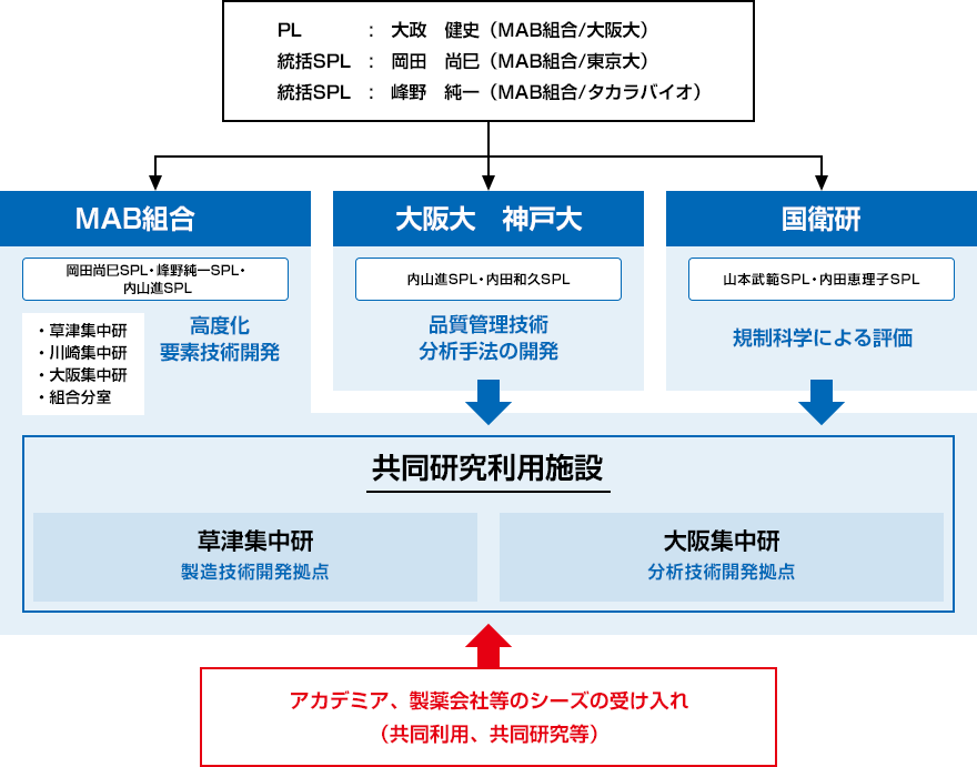 図 研究開発体制(課題全体)
