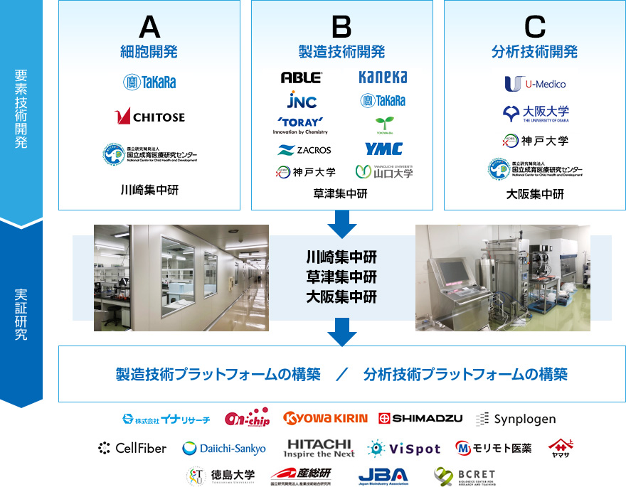 図 研究開発体制