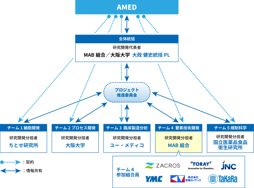 図 研究開発体制