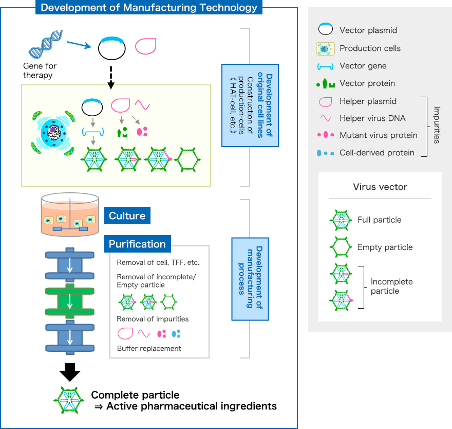 Development of Manufacturing Technology