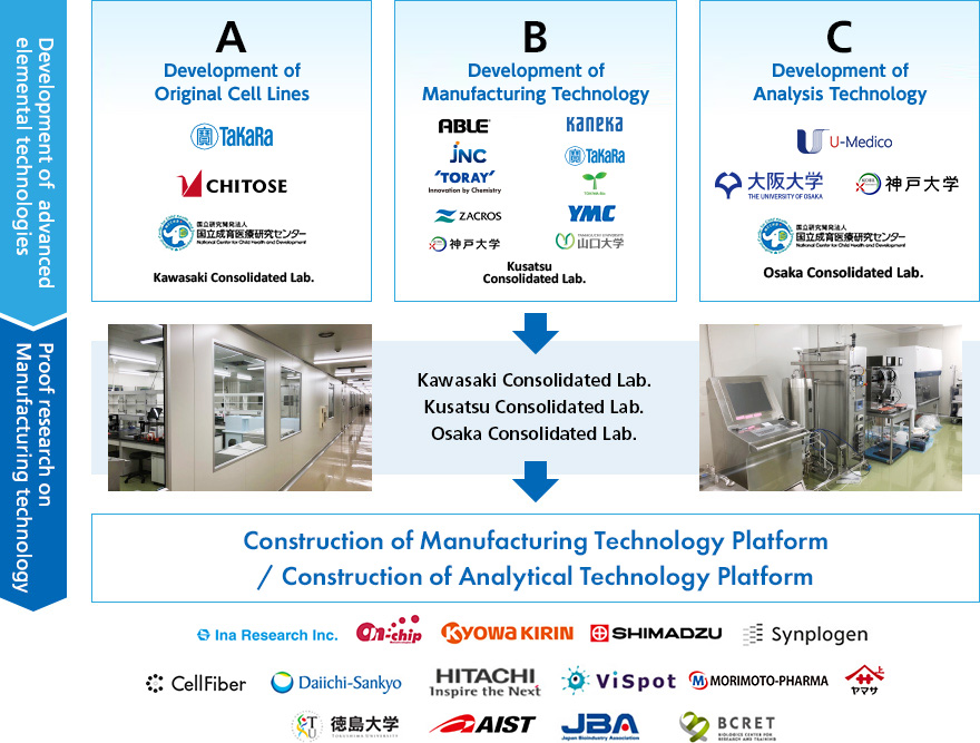 Figure System for R&D